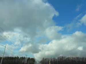 RIMG2225 (800x600)