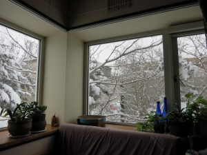 IMG_0785 (800x600)